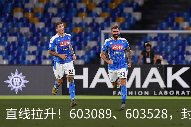 直线拉升！603089、603528，封涨停！